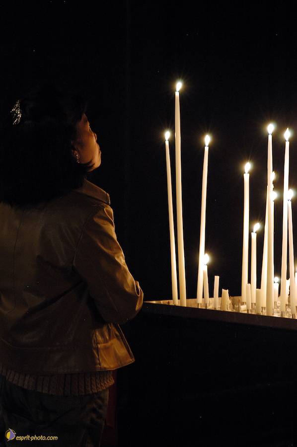 Nom de l'image : D1121461-01_(c)Norbert-JUNG — Description :